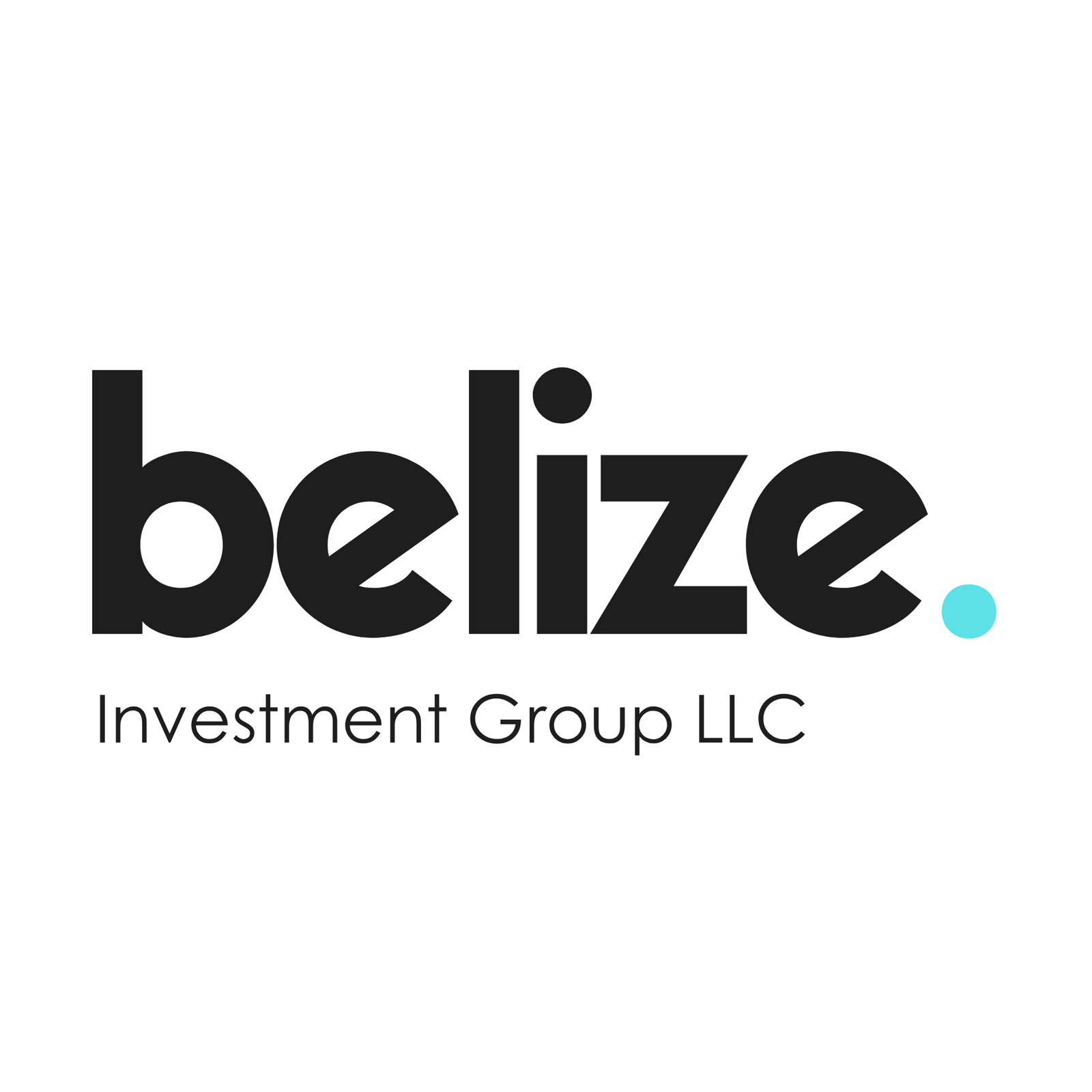 Belize-Investment-Group-Logo